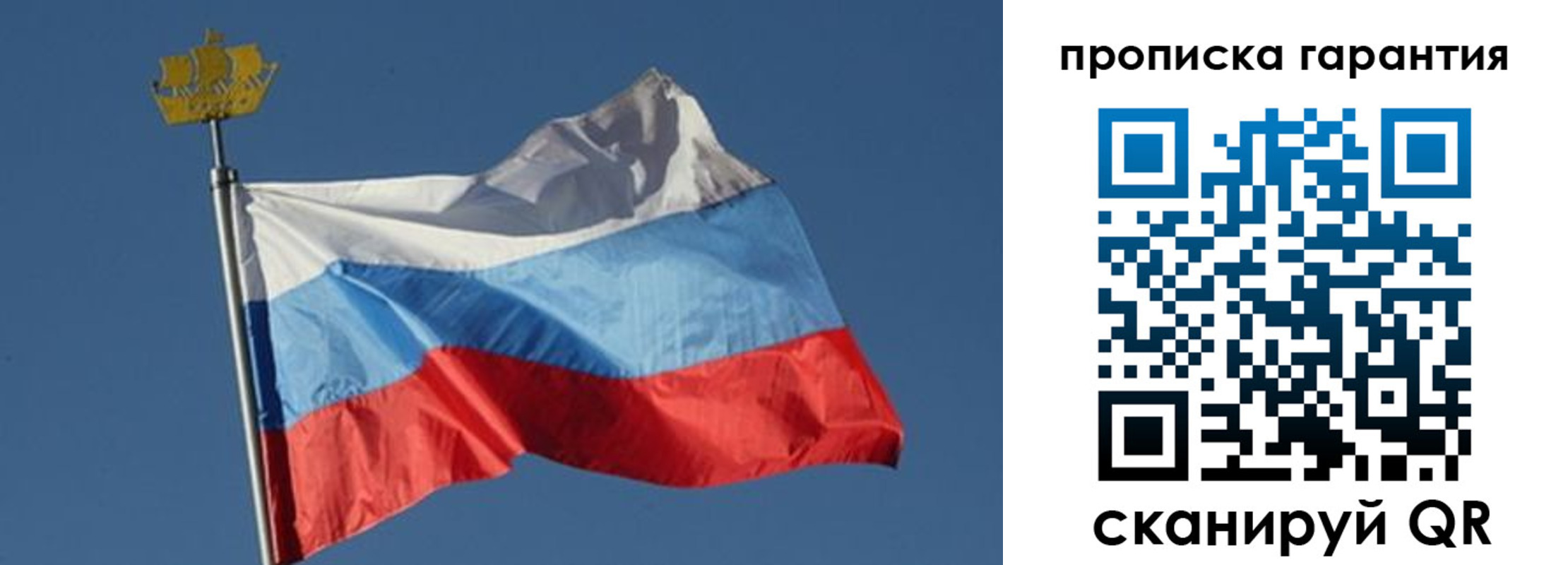 прописка для работы в Тосно